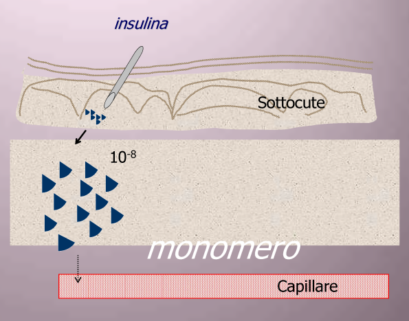 effetti insulina analoghi.png - 270,06 kB